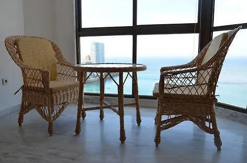 Oasis *